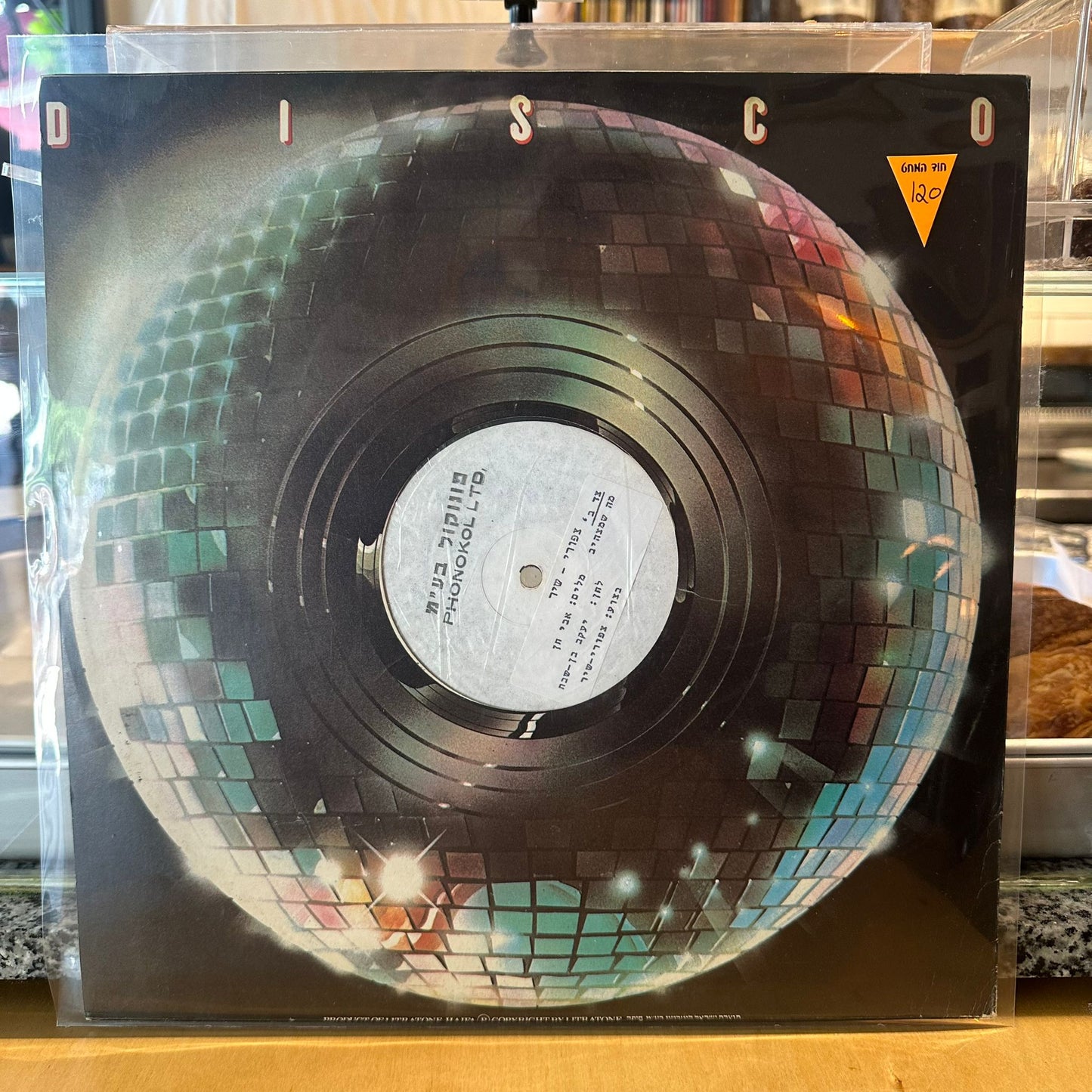 ציפורי שיר - אני עוד ער / מה שמצהיב