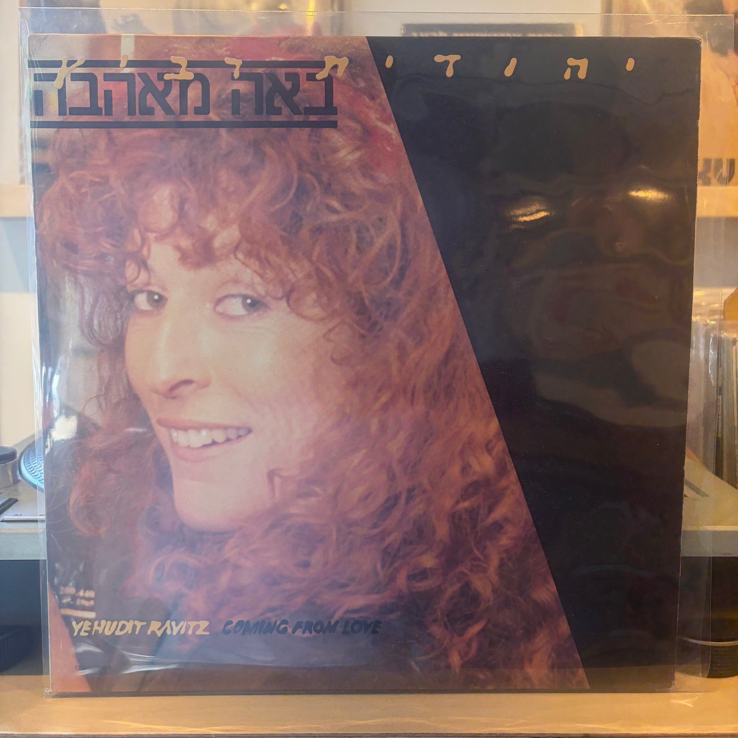 יהודית רביץ - באה מאהבה