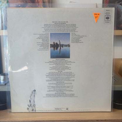 Pink Floyd - Wish You Were Here