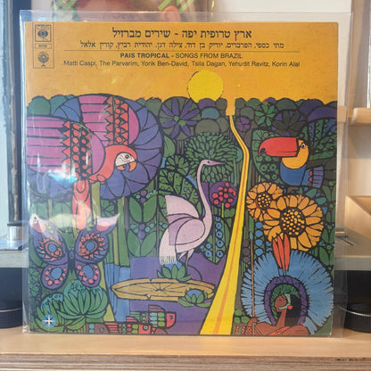 מתי כספי הפרברים יוריק בן דוד מילה דגן יהודית רביץ קורין אלאל - ארץ טרופית יפה שירים מברזיל
