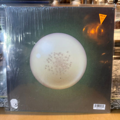 Thee Oh Sees - An Odd Entrances