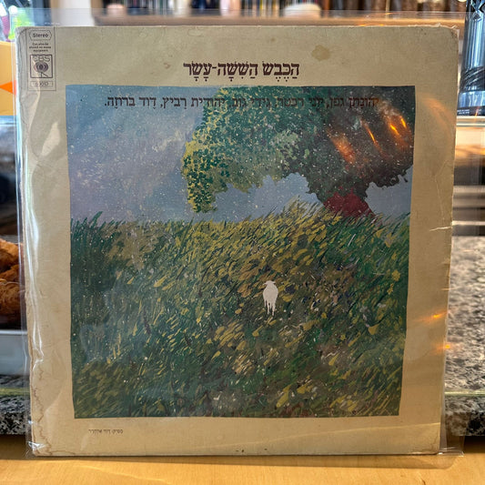 הכבש הששה עשר - הכבש הששה עשר