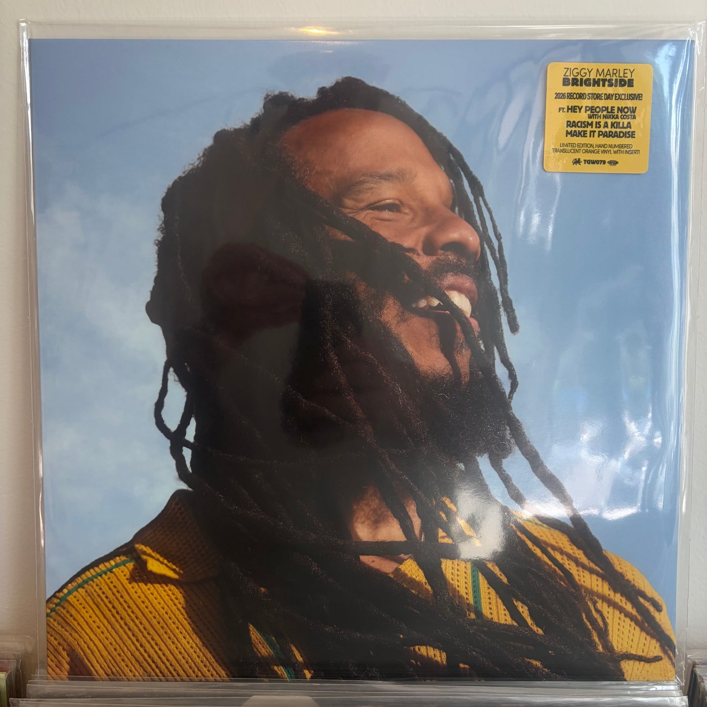Ziggy Marley - Brightside