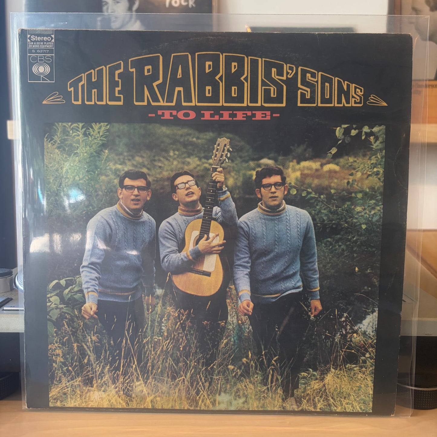 The Rabbis' Sons - To Life