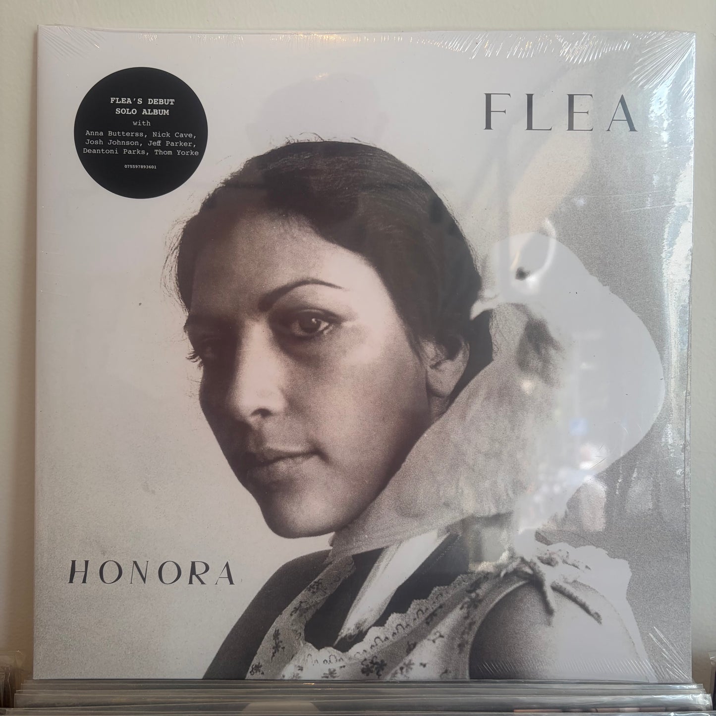 Flea - Honora