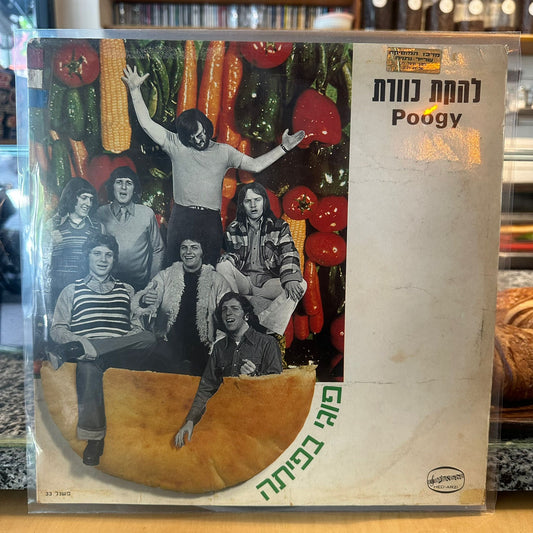 כוורת - פוגי בפיתה