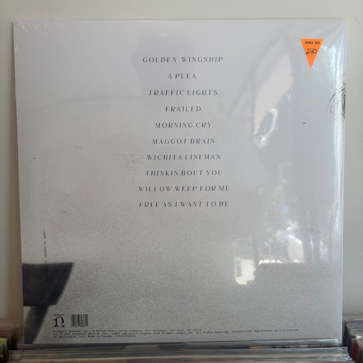 Flea - Honora
