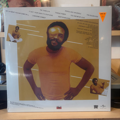 Roy Ayers Ubiquity - Everybody Loves The Sunshine