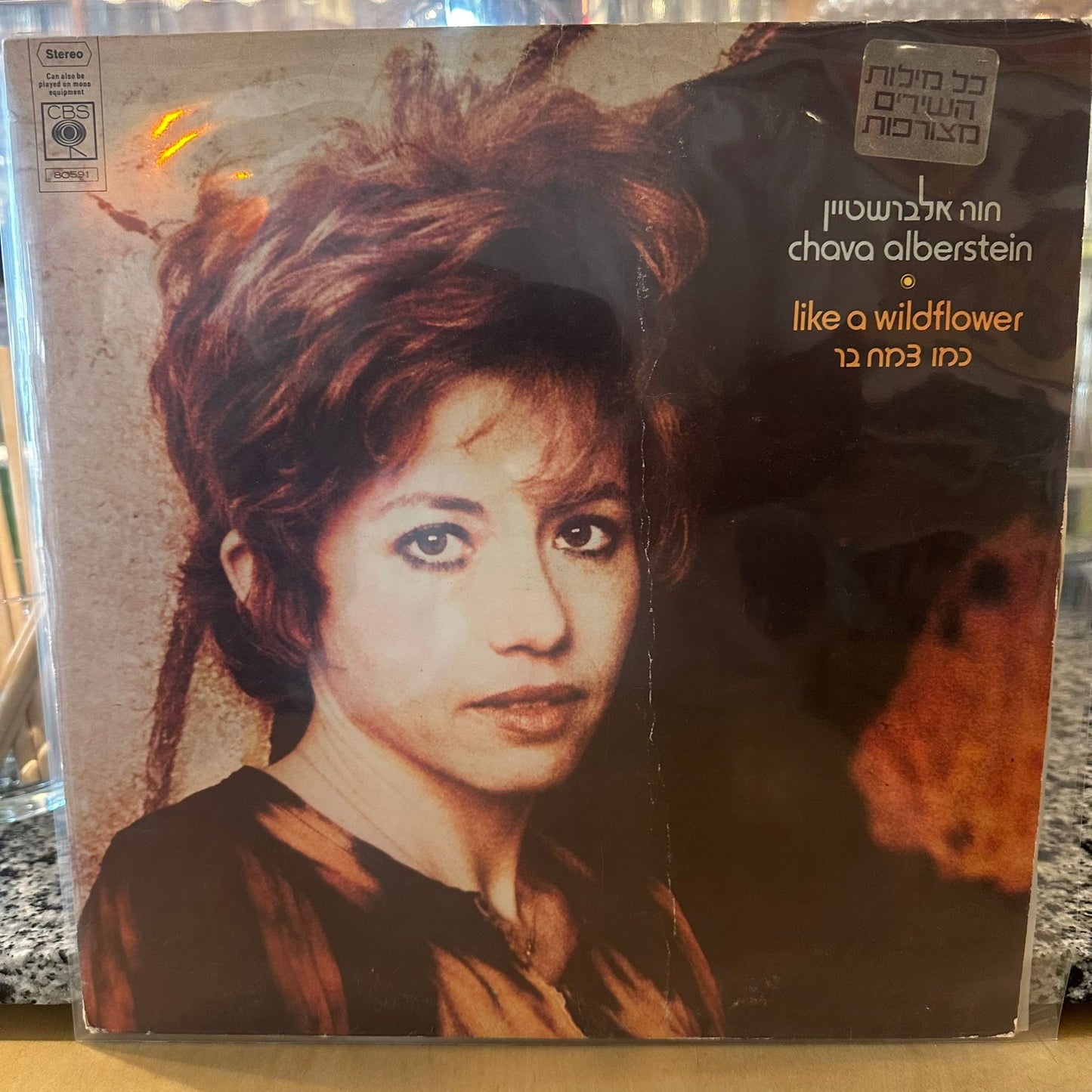 חוה אלברשטיין - כמו צמח בר