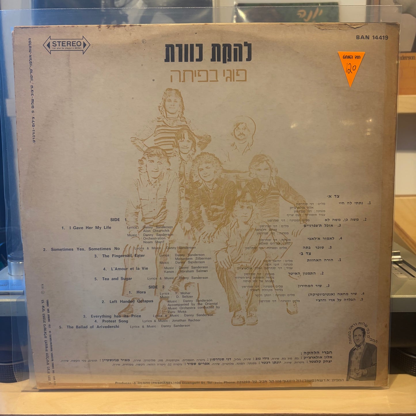 כוורת - פוגי בפיתה