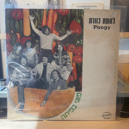 כוורת - פוגי בפיתה
