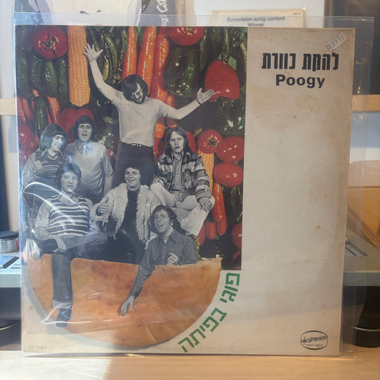 כוורת - פוגי בפיתה