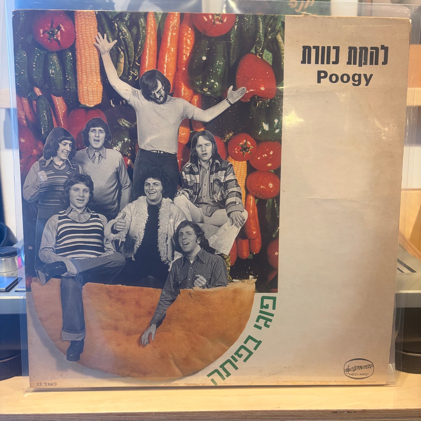 כוורת - פוגי בפיתה