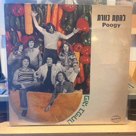 כוורת - פוגי בפיתה