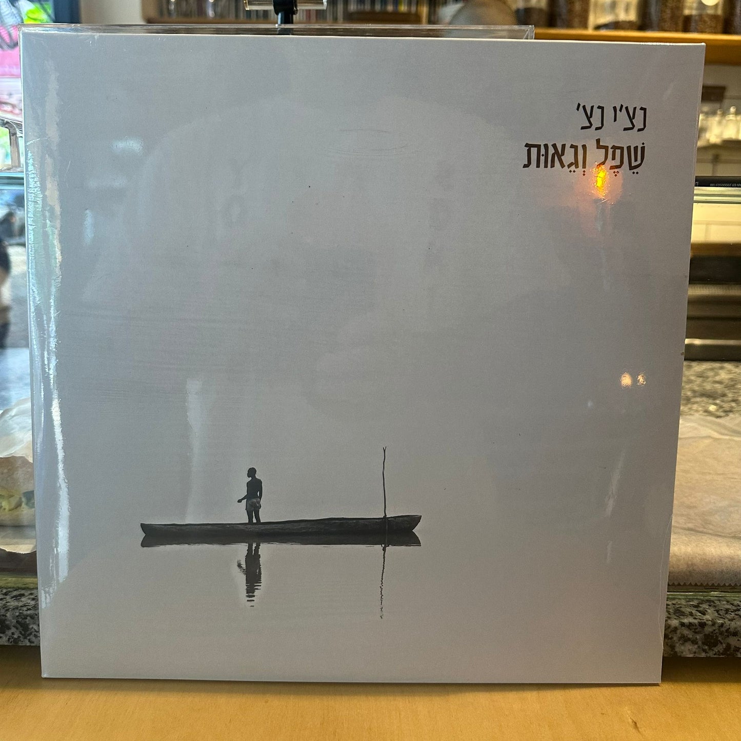 רביד פלוטניק - שפל וגאות