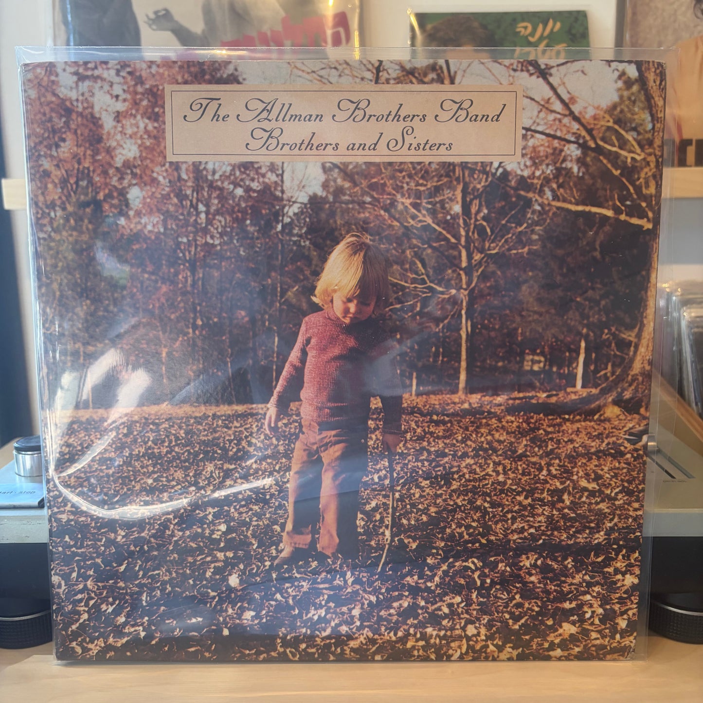 The Allman Brothers Band - Brothers And Sisters