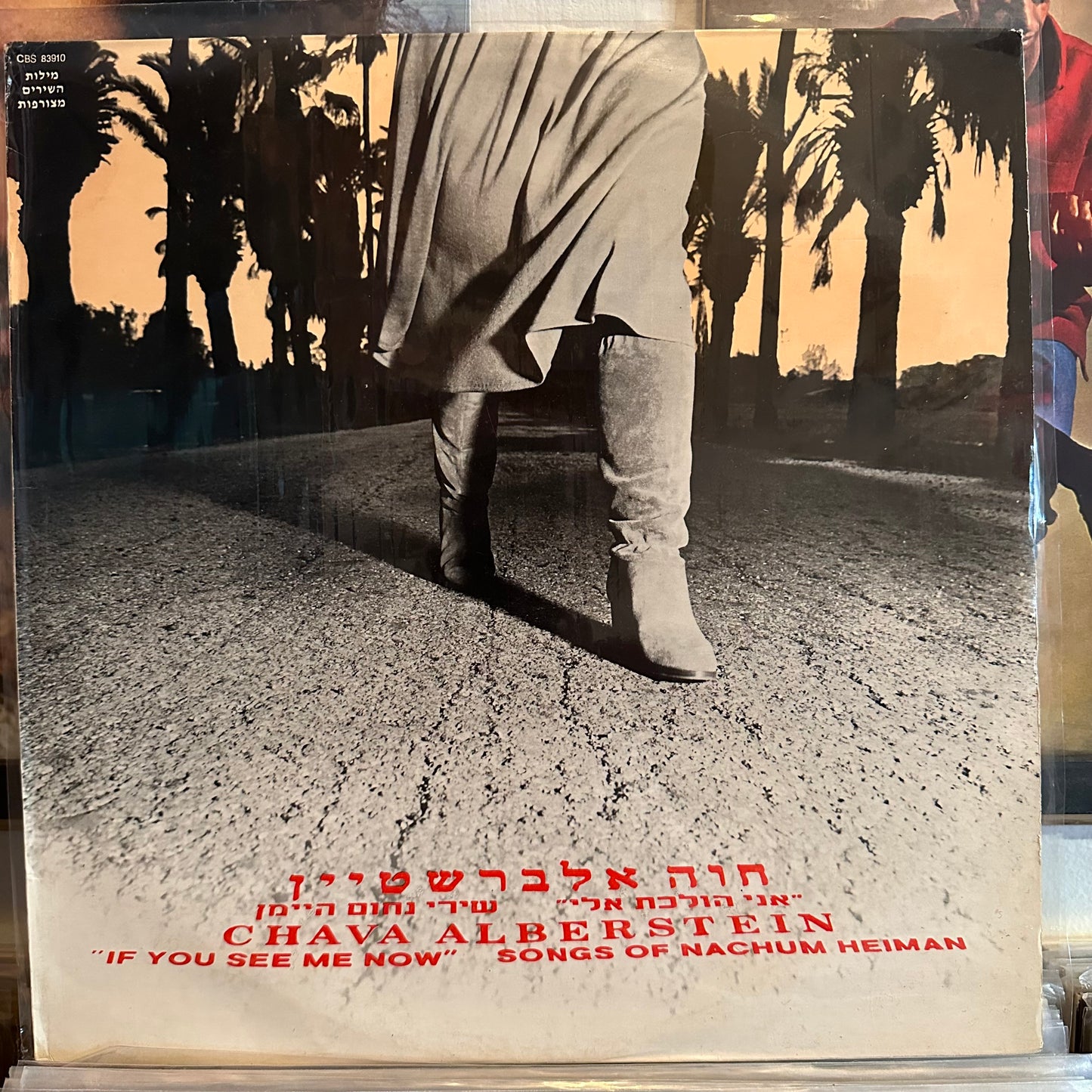 חוה אלברשטיין - אני הולכת אלי