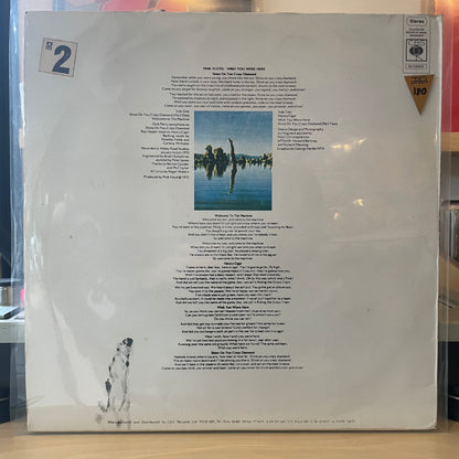 pink floyd - wish you were here