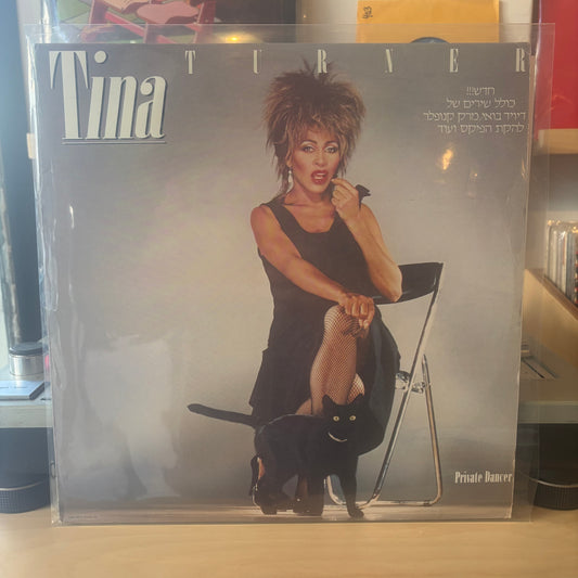 Tina Turner - Private Dancer