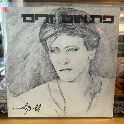 ששי קשת – פתאום זרים