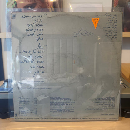שלום חנוך - חתונה לבנה