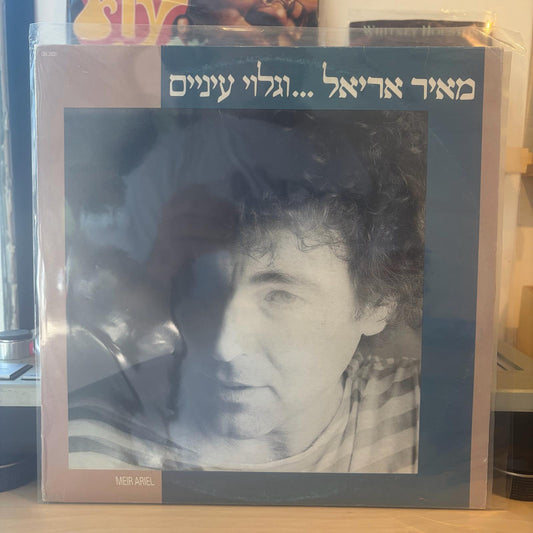 מאיר אריאל - וגלוי עיניים