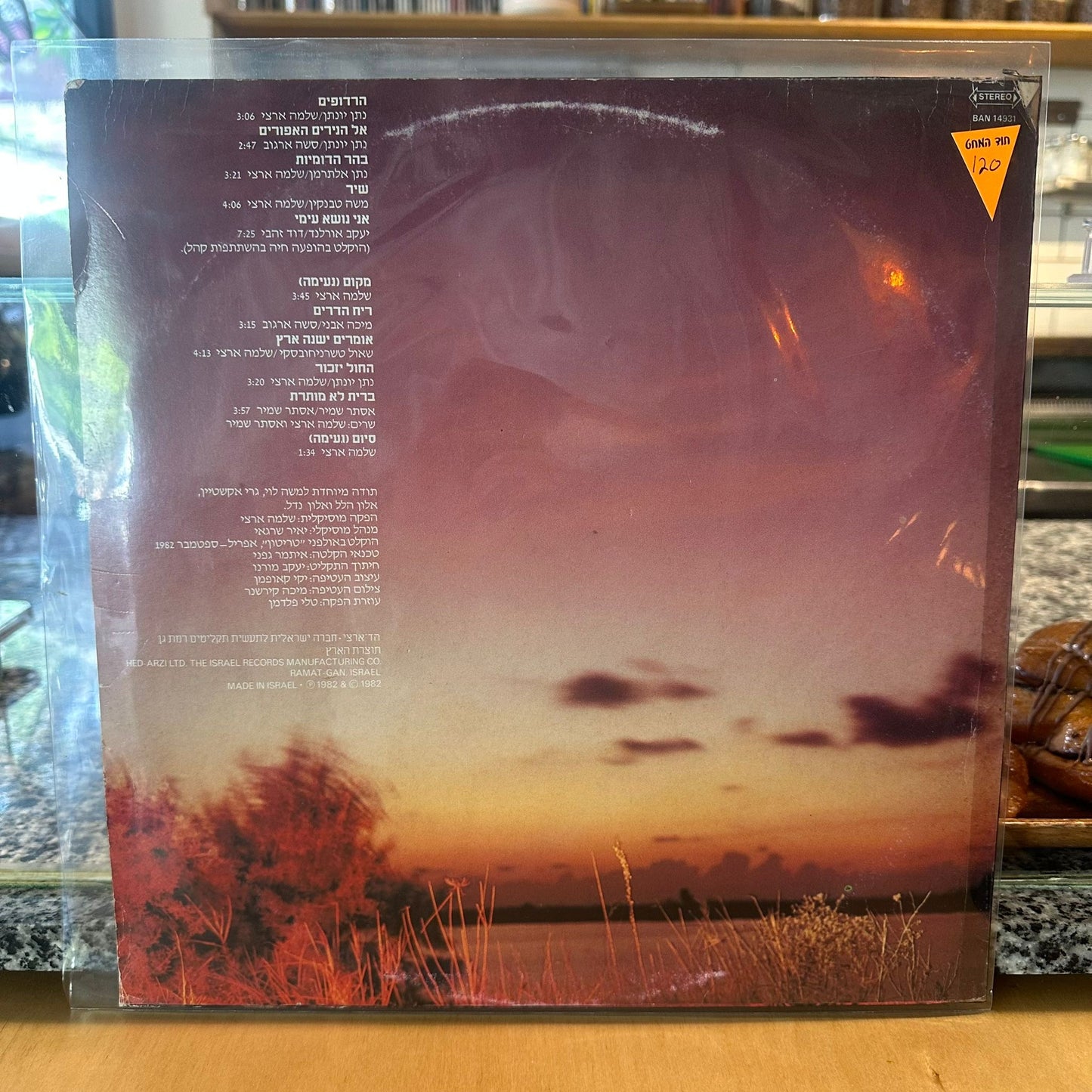 שלמה ארצי – מקום