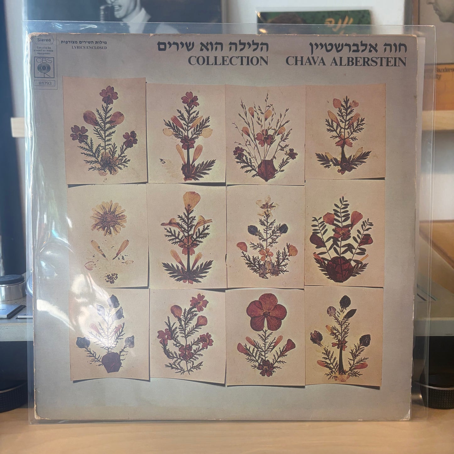 חוה אלברשטיין - הלילה הוא שירים