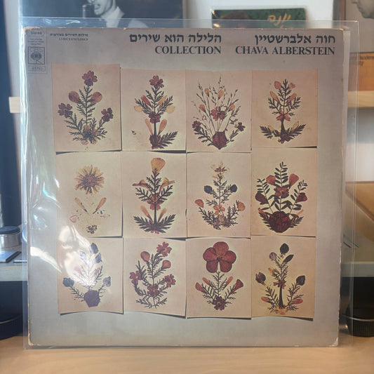 חוה אלברשטיין - הלילה הוא שירים