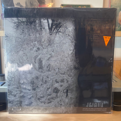Bon Iver - For Emma, Forever Ago