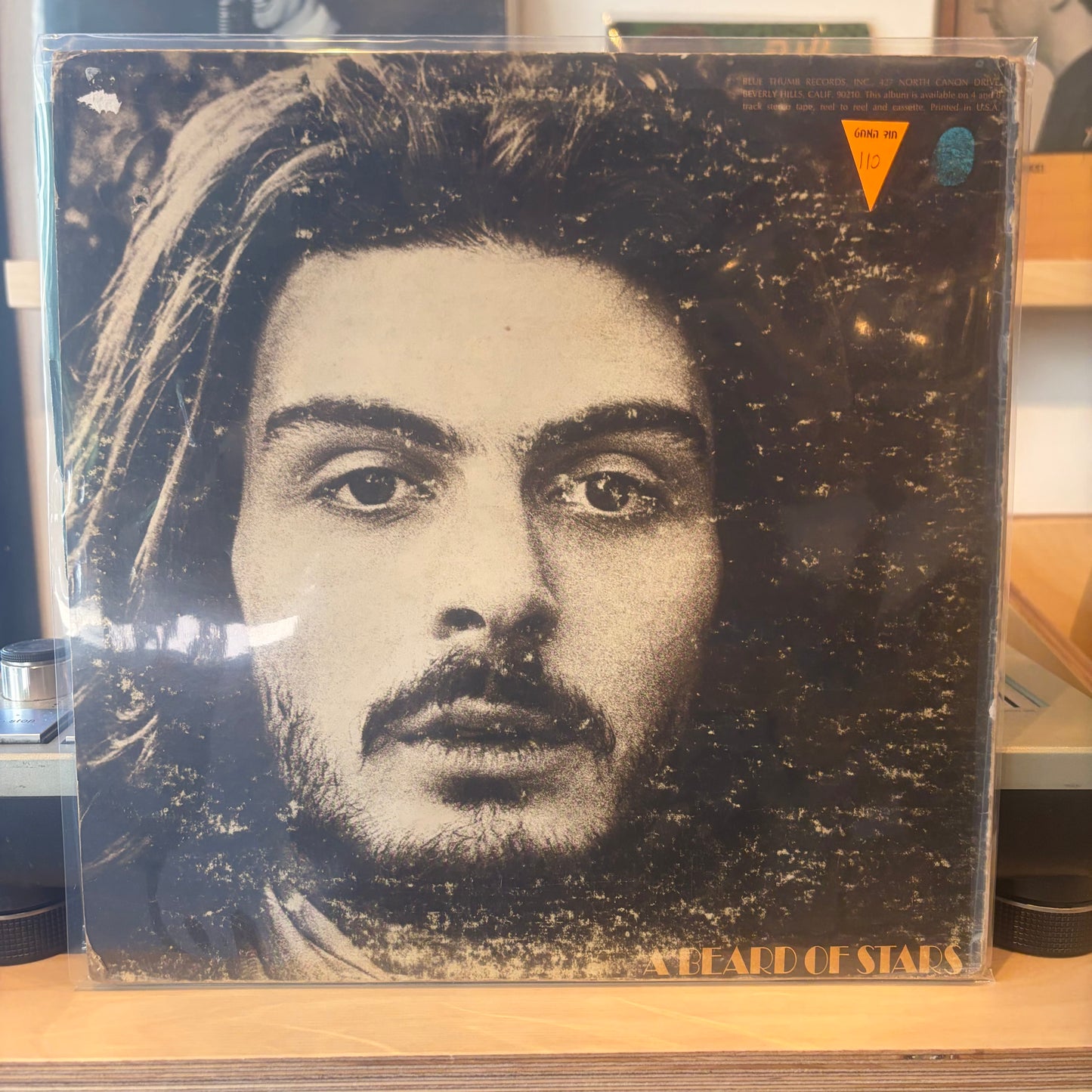 Tyrannosaurus Rex - A Beard Of Stars