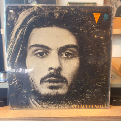 Tyrannosaurus Rex - A Beard Of Stars