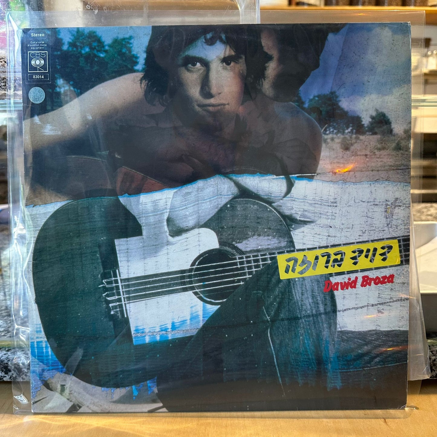 דויד ברוזה - דויד ברוזה