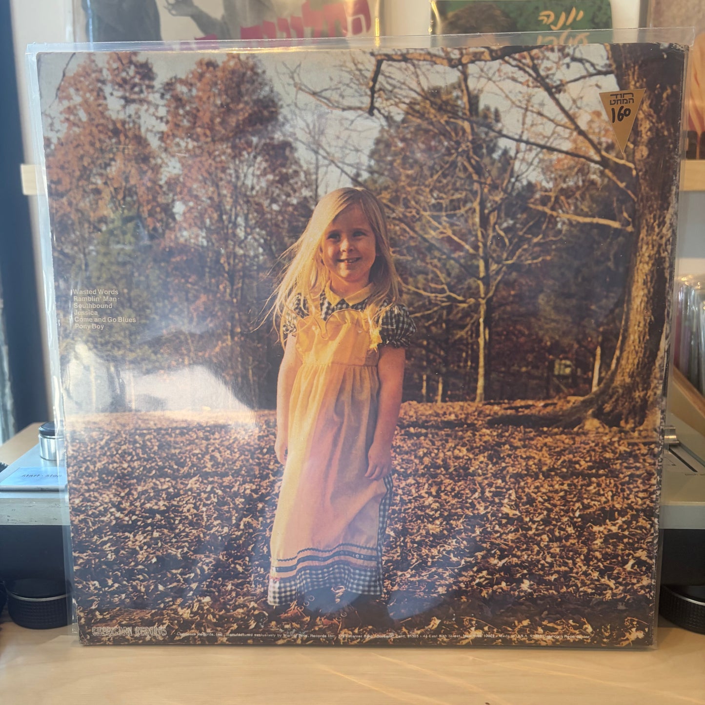 The Allman Brothers Band - Brothers And Sisters