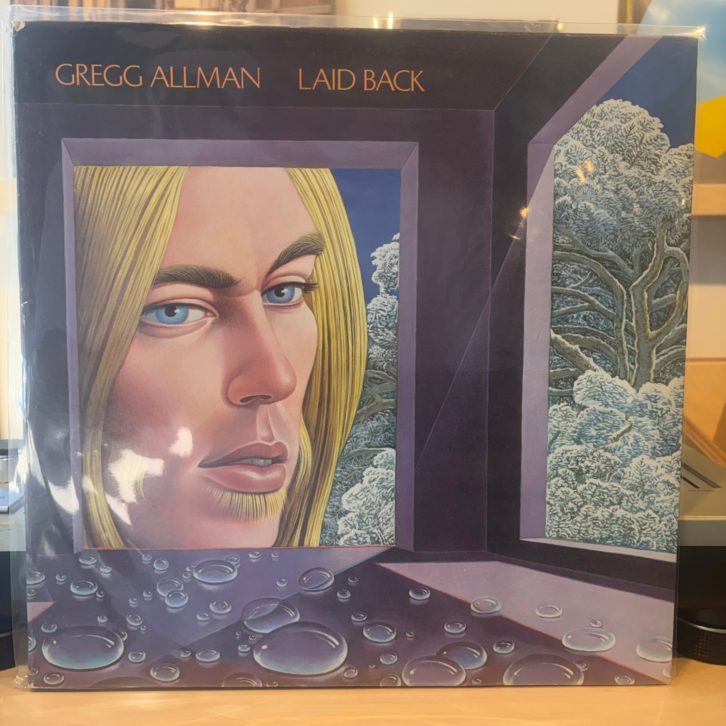 Gregg Allman - Laid Back