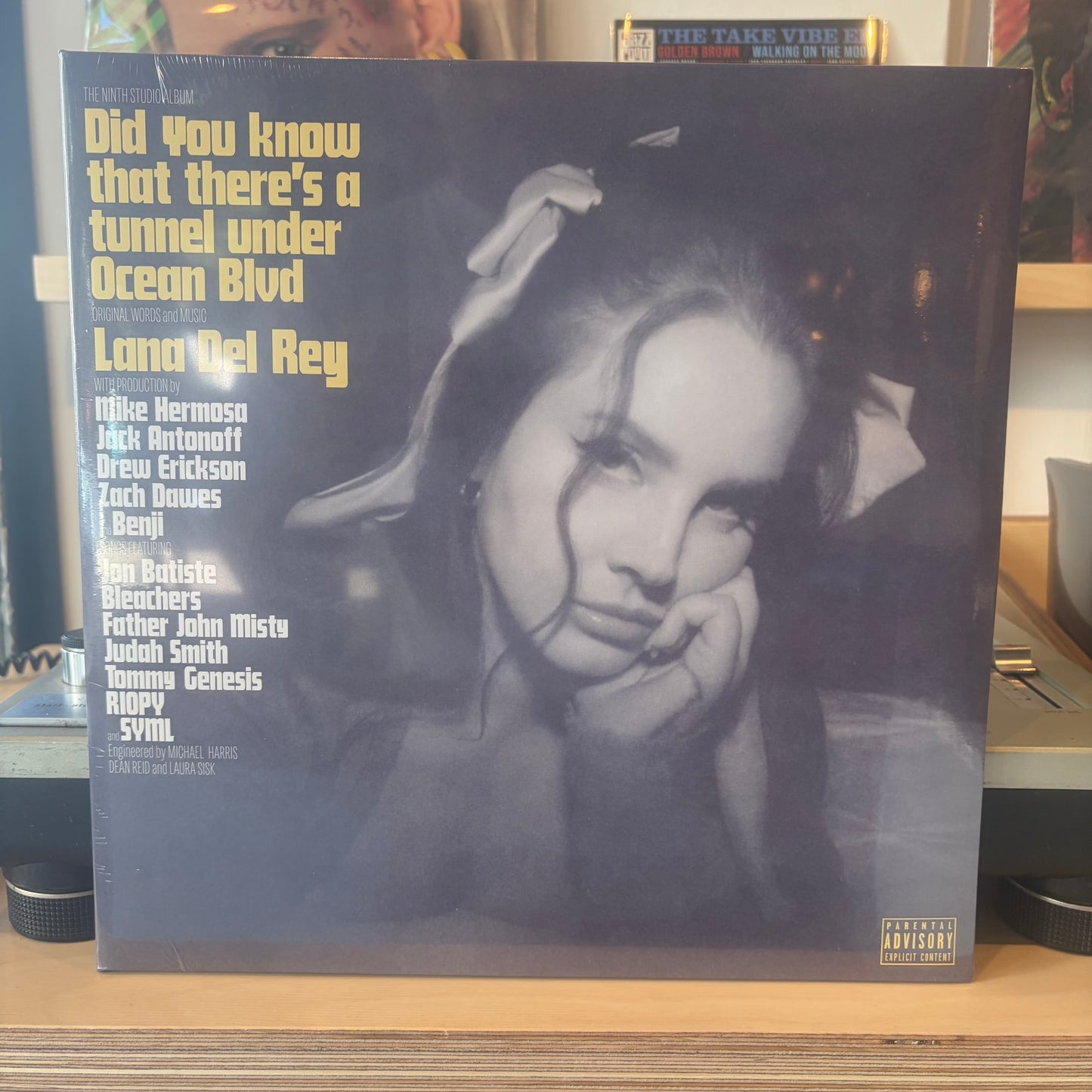 Lana Del Rey - Did You Know That There's a Tunnel Under Ocean Blvd