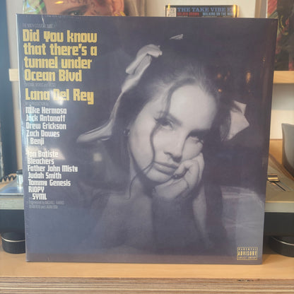 Lana Del Rey - Did You Know That There's a Tunnel Under Ocean Blvd