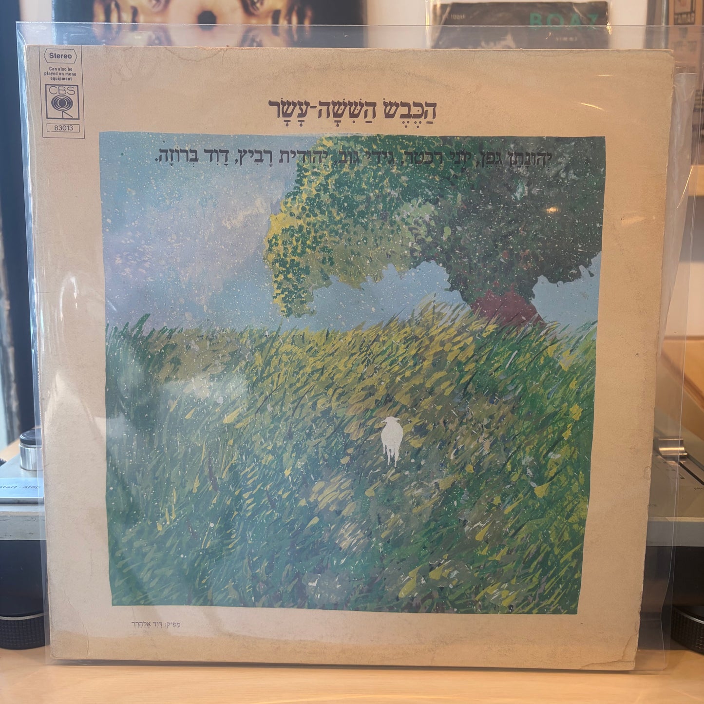 הכבש הששה עשר - הכבש הששה עשר