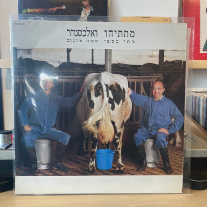 מתי כספי סשה ארגוב - מתתיהו ואלכסנדר