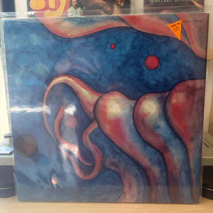 King Crimson - In The Court Of The Crimson King (An Observation By King Crimson)