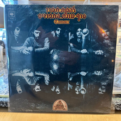 תמוז - סוף עונת התפוזים