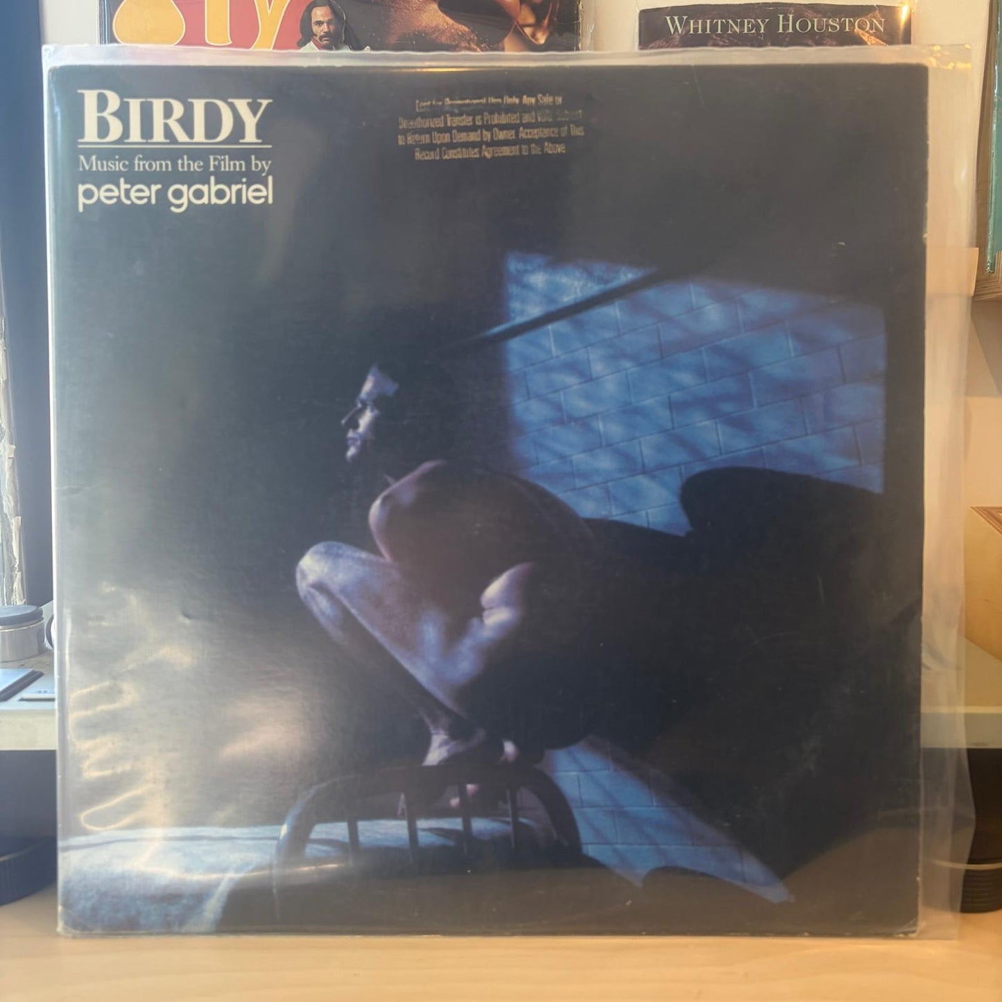 Peter Gabriel - Birdy