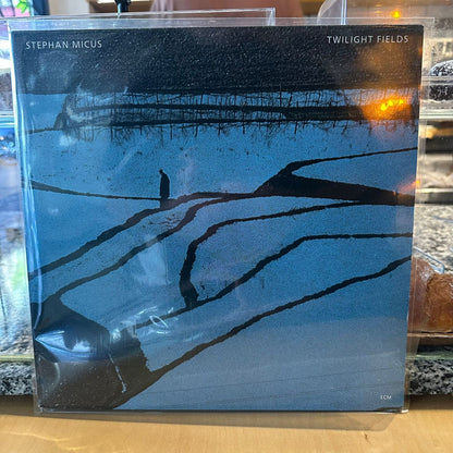 Stephan Micus - Twilight Fields