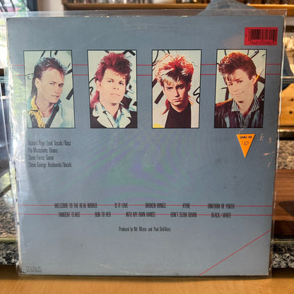 Mr. Mister — Welcome To The Real World