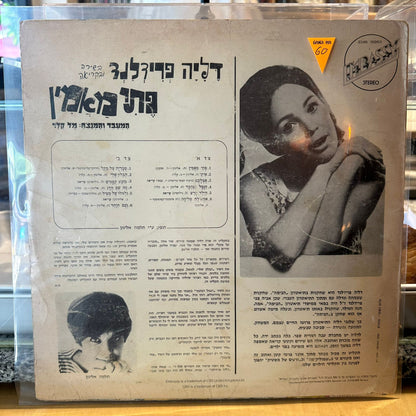 דליה פרידלנד - פתי מאמין