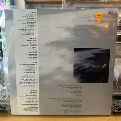 חוה אלברשטיין – הצורך במילה הצורך בשתיקה