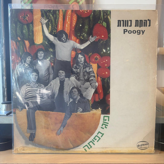 כוורת - פוגי בפיתה