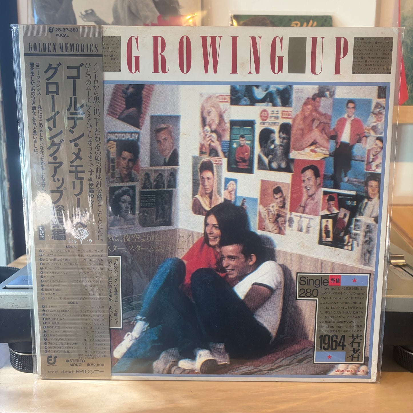 Various - Golden Memories Growing Up - Going Steady