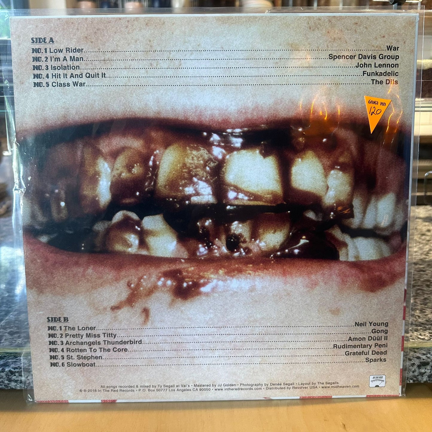 Ty Segall - Fudge Sandwich