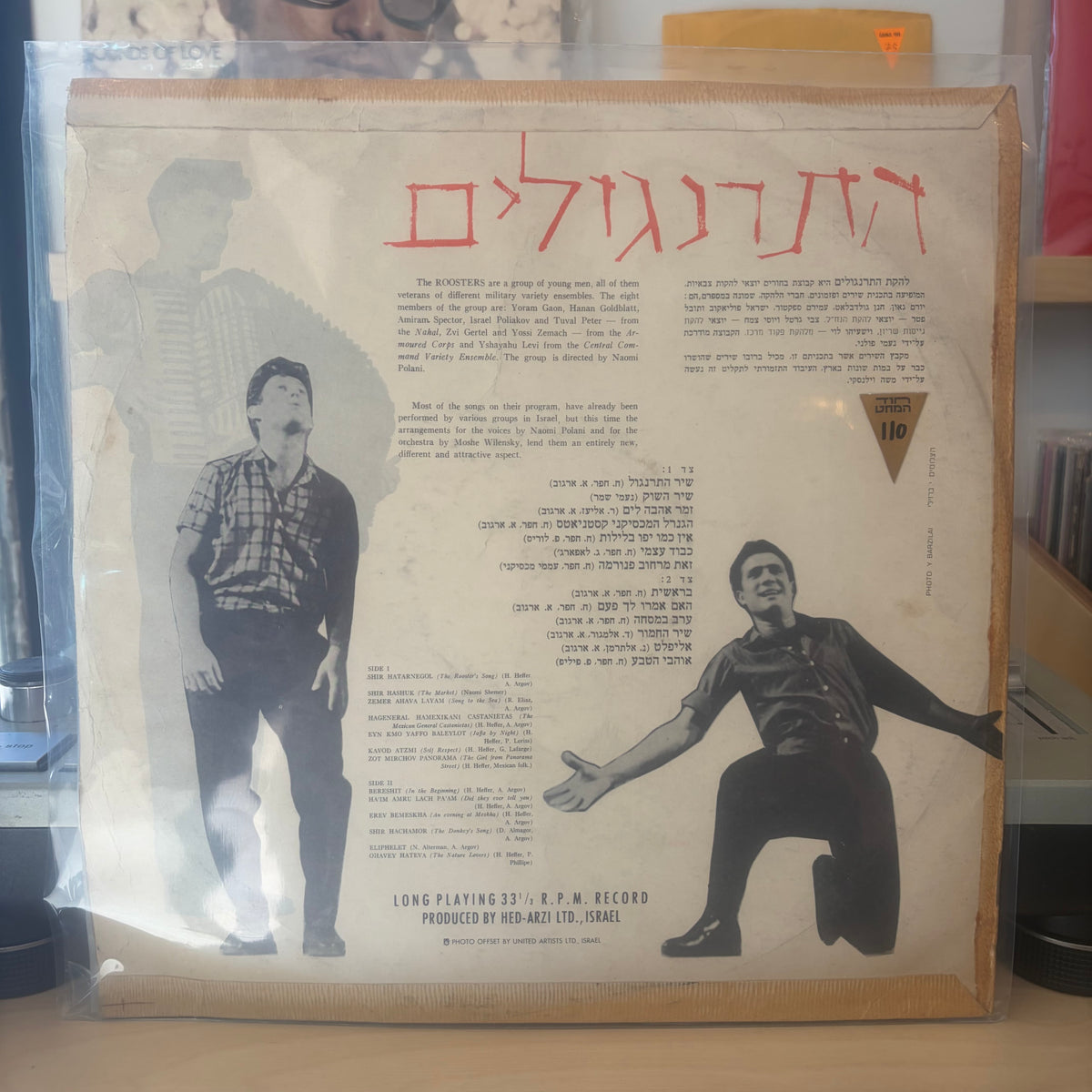 התרנגולים - התרנגולים